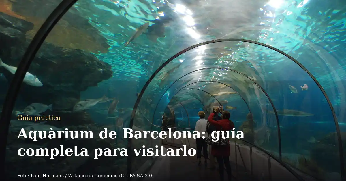 Aquàrium de Barcelona: guía completa para visitarlo