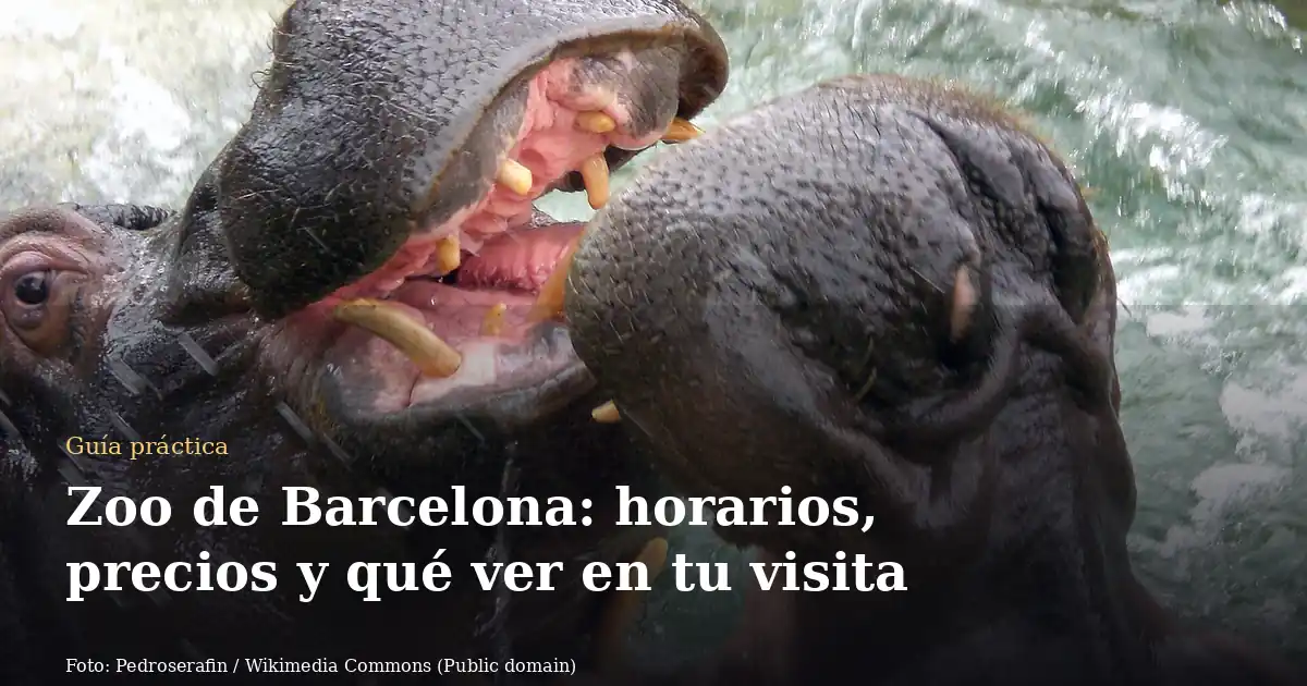 Zoo de Barcelona: horarios, precios y qué ver en tu visita